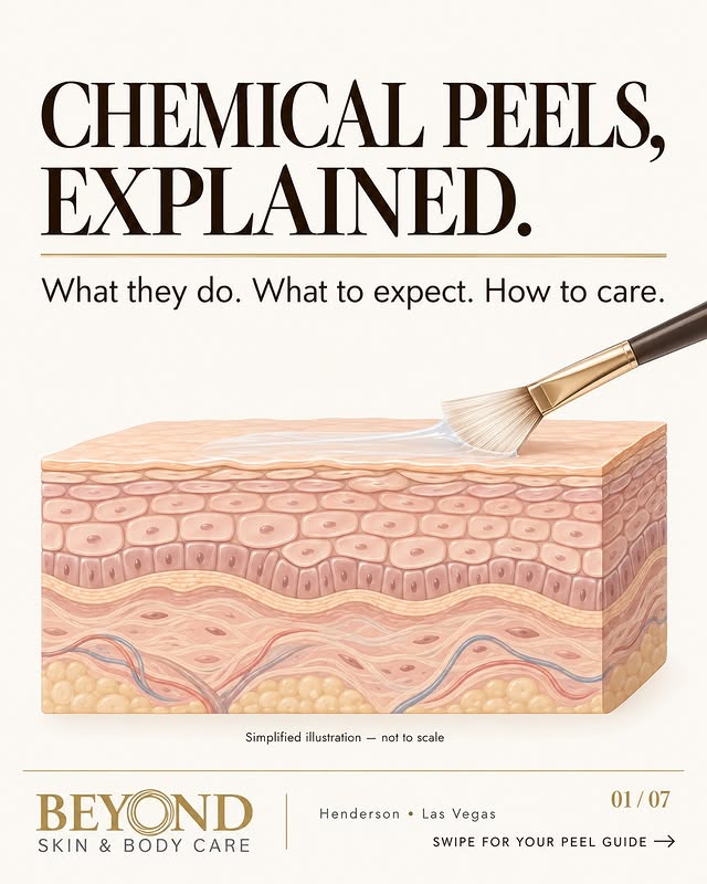 Chemical Peels, Explained: illustrated diagram of skin layers with a fan brush, from Beyond Skin & Body Care